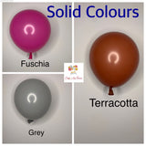 Customised Single Solid Colour Biodegradable Balloon 6 Piece Cake Topper - DIY Kit Balloon Oh So Crafty